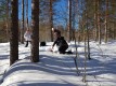 В марте 2018 г. сотрудники Сахалинского филиала ДВГИ ДВО РАН провели исследования снежного покрова в Кондопожском районе Республики Карелия.