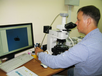 Исследование флюидных включений на оптическом микроскопе (н.с. Д.Г. Федосеев)
