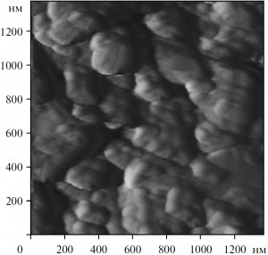 Рис. 1. Глобулярная микроструктура графита в углеродистом метасоматите (снято на сканирующем атомно-силовом микроскопе серии Solver в ИХ ДВО РАН)
