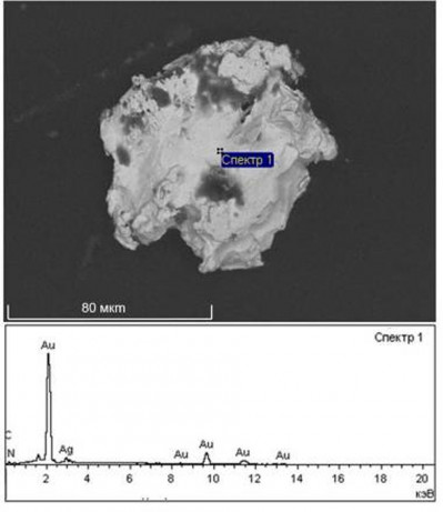Рис. 7 Изображение N, C‑содержащей частицы золота с соответствующим энергодисперсионным спектром
